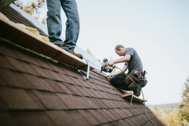 Best Flat Roof Repair Services  in Albany, CA